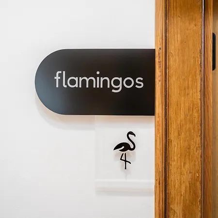 Bairro Novo - Local Casa de hóspedes Figueira da Foz