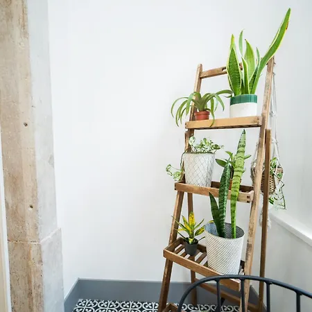 Bairro Novo - Local Gasthof Figueira da Foz