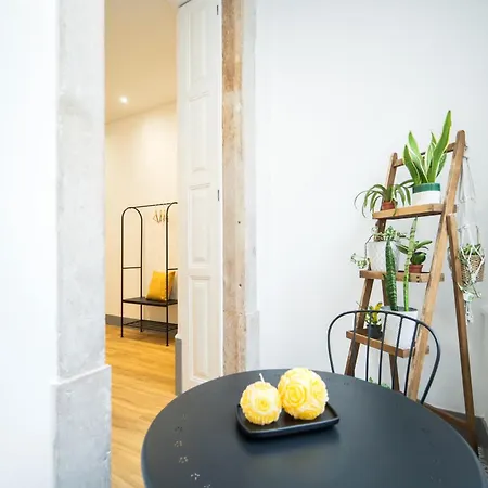 Bairro Novo - Local Figueira da Foz