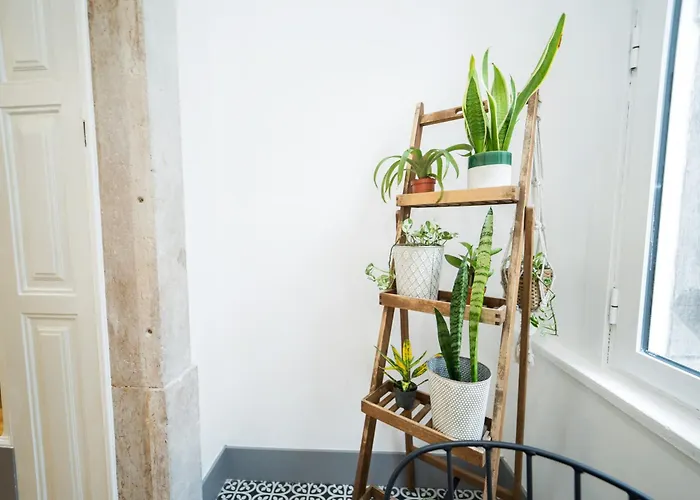 Bairro Novo - Local Casa de hóspedes Figueira da Foz