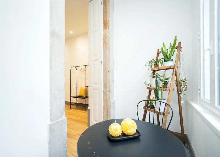 Bairro Novo - Local Figueira da Foz