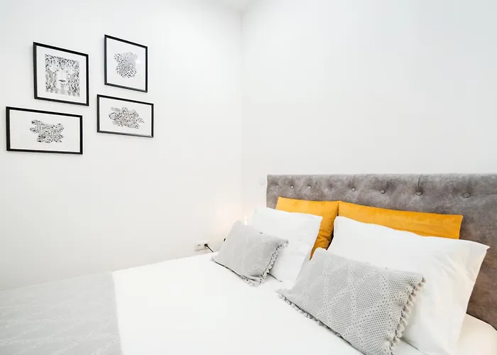 Bairro Novo - Local Figueira da Foz